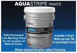 Aqua Paints in Bulk