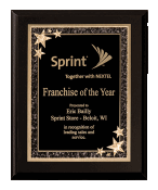 8"x10" Black finish plaque w/starburst Plate
Recognition Plaques and Awards