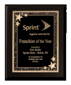 8"x10" Black finish plaque w/starburst Plate
Recognition Plaques and Awards