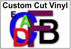 Vinyl Letters or Numbers